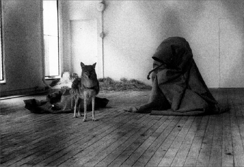 Йозеф Бойс «Койот: я люблю Америку и Америка любит меня», 1974 г. В ходе этого перформанса автор три дня находился в изолированном помещении наедине с диким койотом.