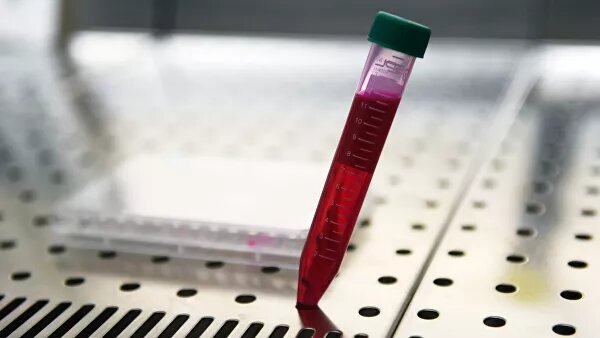 
© РИА Новости / Максим Богодвид
Перейти в фотобанк