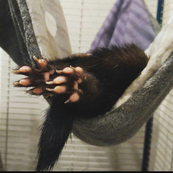 Найдите отличия (фото из интернета)