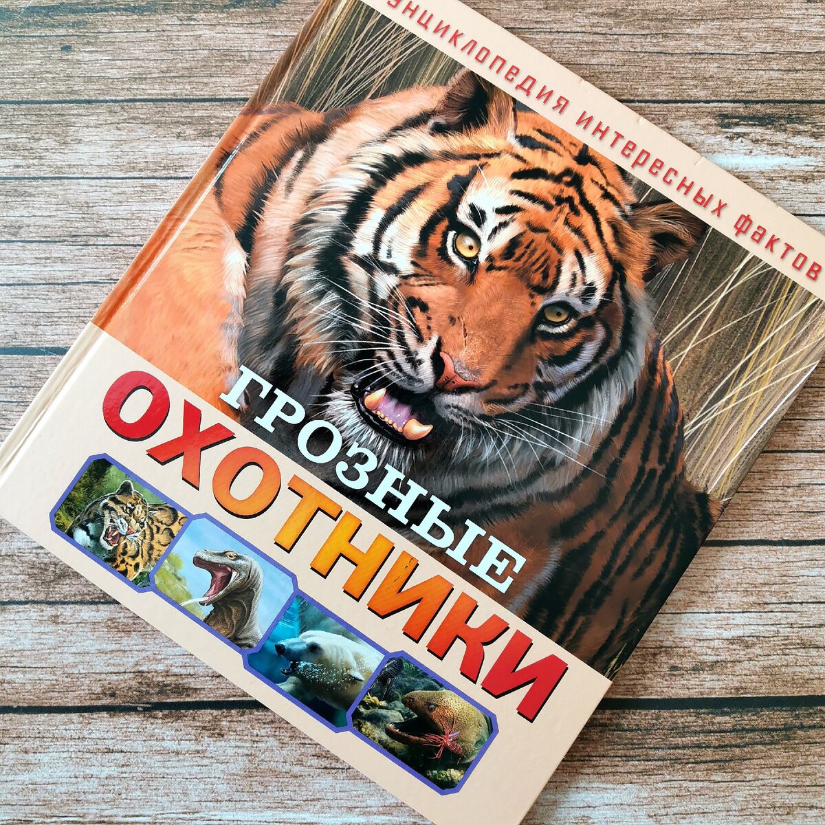 В этой книге рассказывается только о хищниках, их повадках, образе жизни