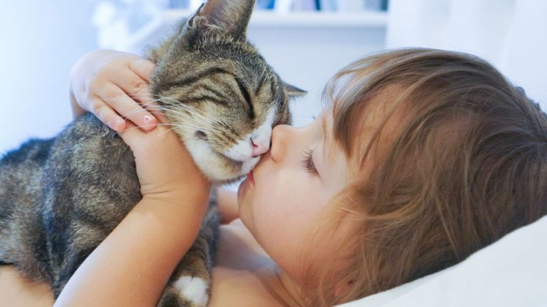 Милые создания