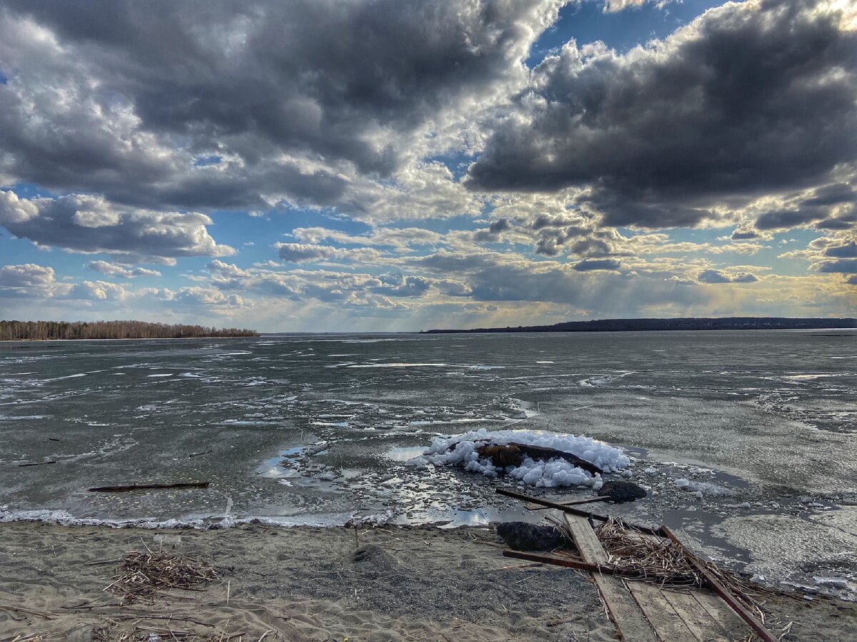 Остров Шумаровский Рыбинское водохранилище