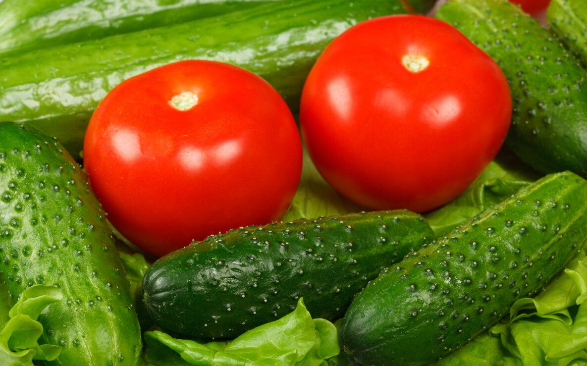 Раствор насыщает растения всеми необходимыми питательными элементами.