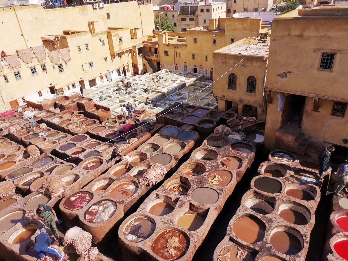 Фес, красильни Шуара, 16 ноября 2019, 14:00