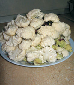     Кастрюлю с водой поставьте на плиту и посолите по вкусу. Пока вода кипятиться необходимо хорошенько промыть капусту. Разделяем кочан на одинаковые соцветия. После того как вода закипела, бросаем туда капусту. Варим 10 минут до полу готовности, затем скидываем капусту на дуршлаг и промываем в холодной воде. Ждем пока вода сбежит.   