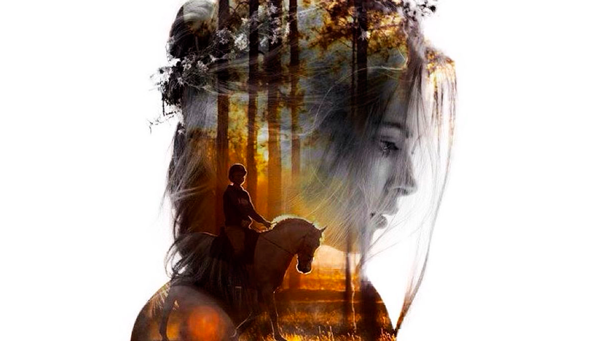 Картинка взята с "Яндекс Картинки"