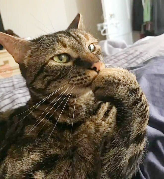 Взято с Яндекс.картинки