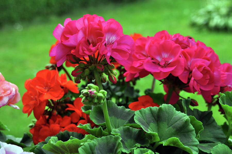 Источник фото: mobileprints.com