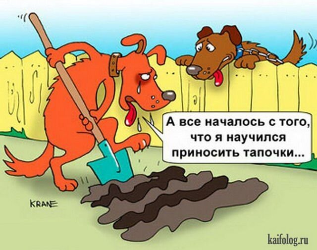 Фото Яндекс.Картинки