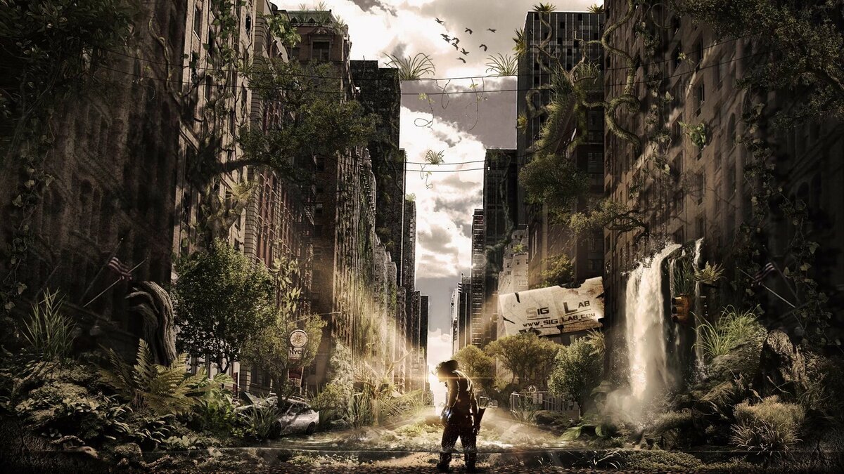 Фото из инета