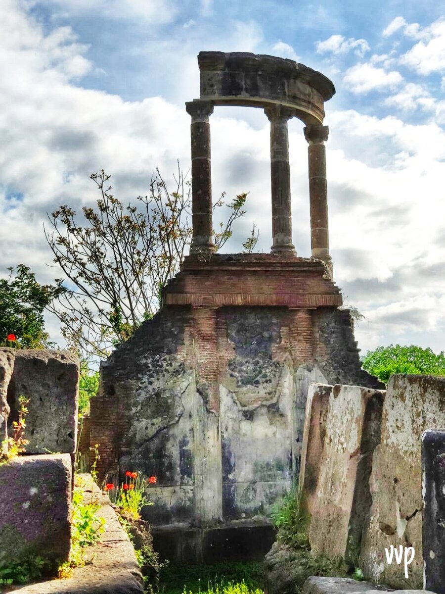 руины Помпеи утопают в зелени и цветах. Где-то специально посажены розы, а где-то цветут дикие маки