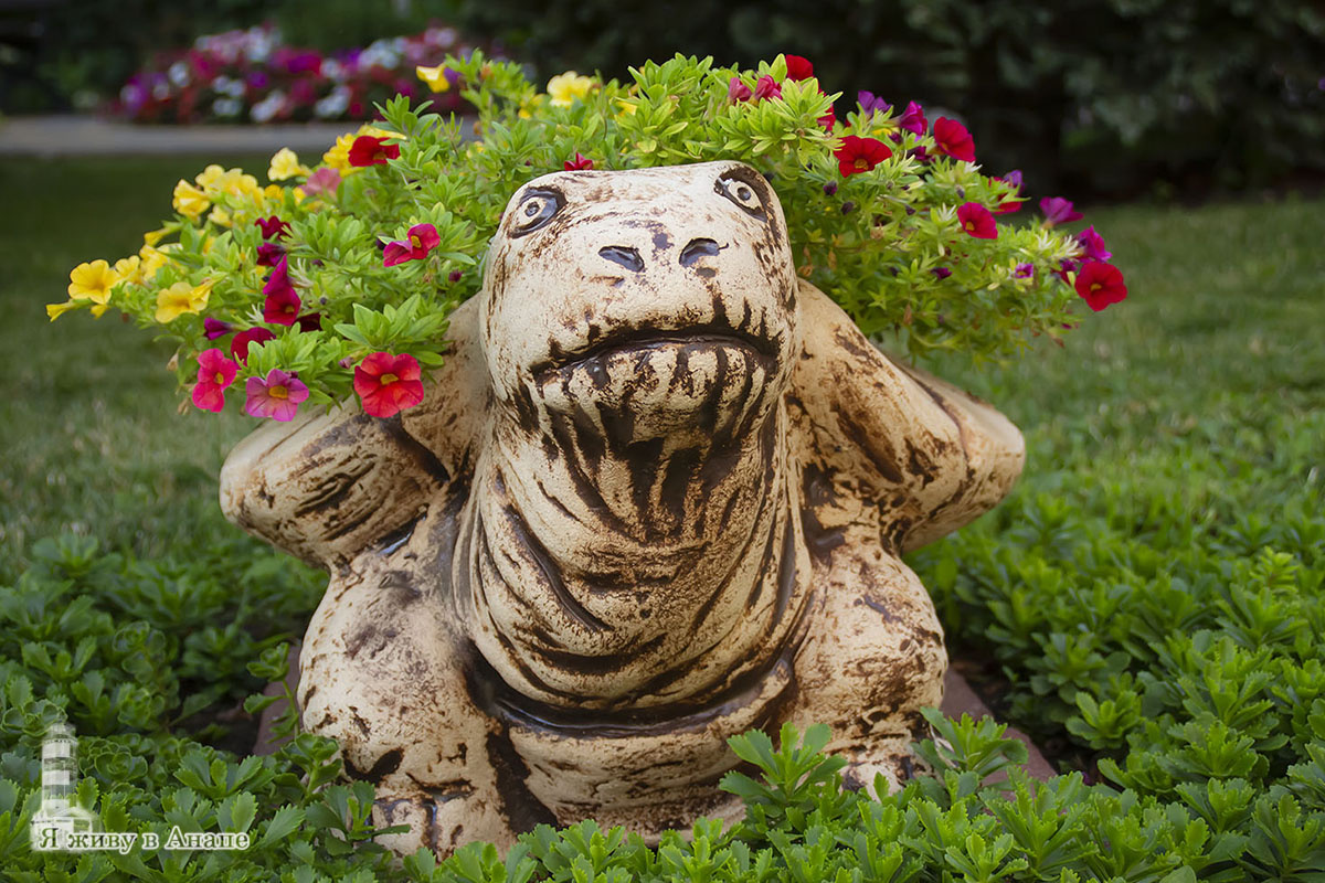 Черепашка ждет гостей... 