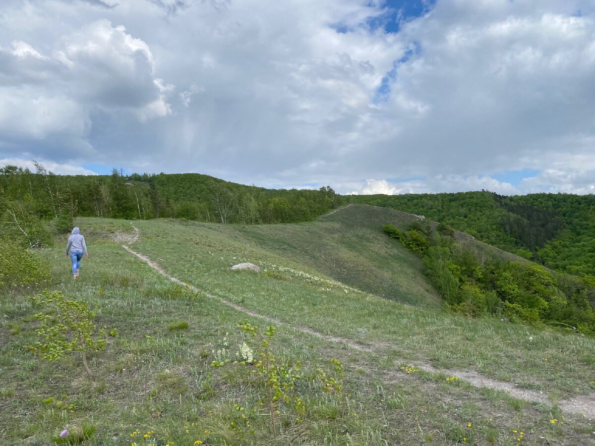 село лысые горы