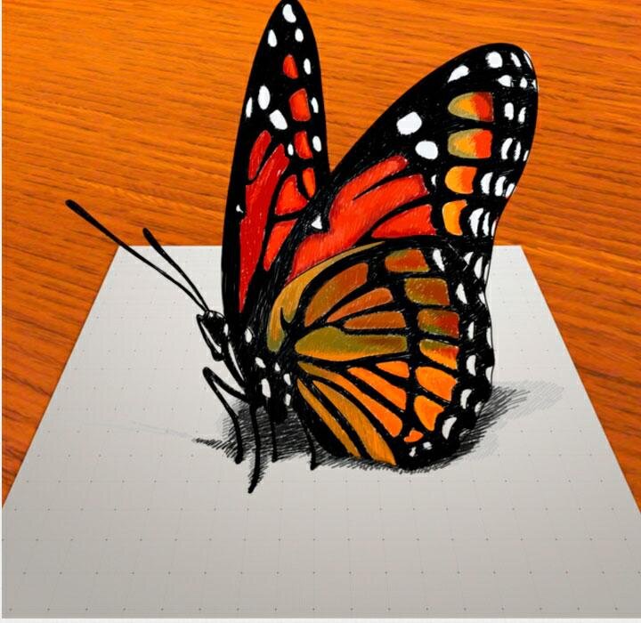 Рисунки бабочки карандашами