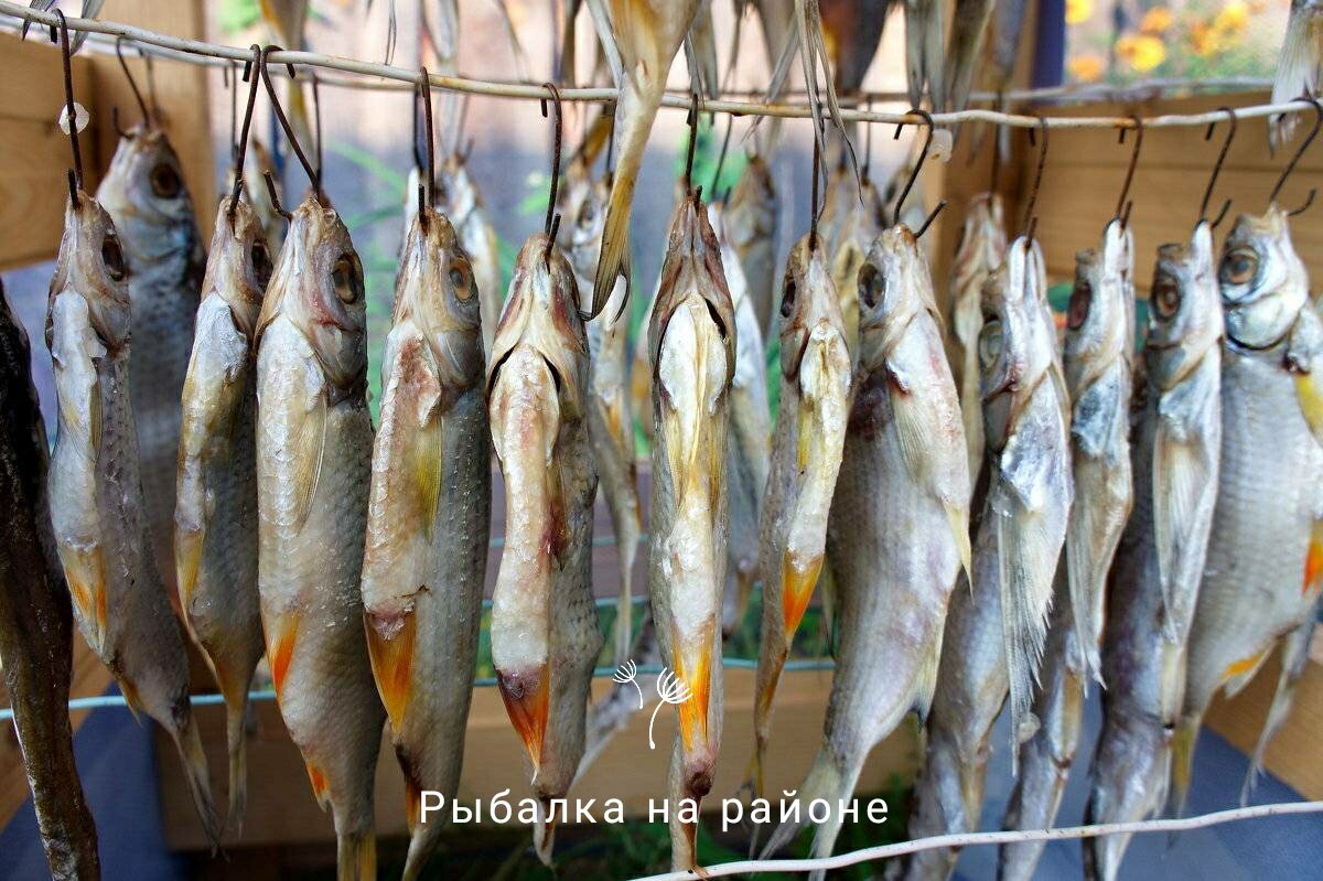 Фото из архивов.