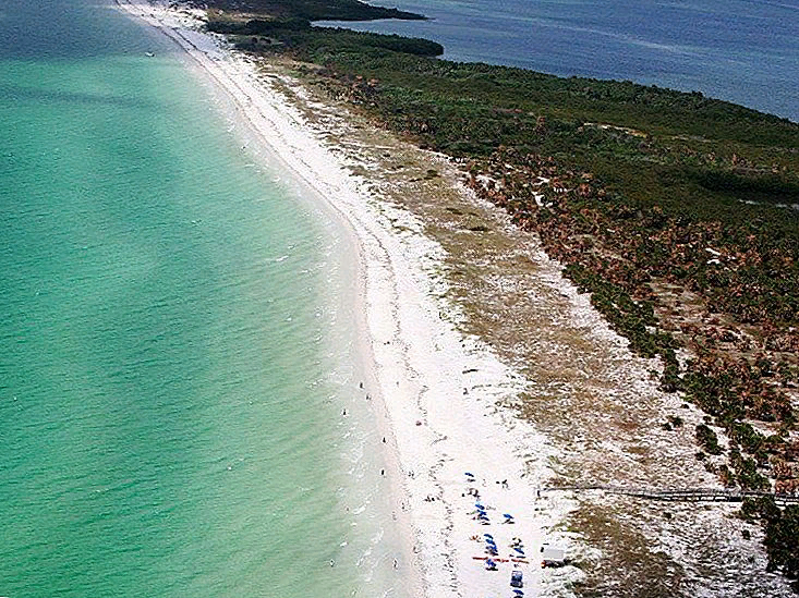 Фото взято с открытых источников