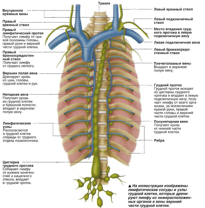 Источник изображения: Яндекс.Картинки