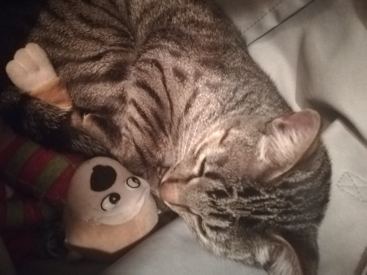 Фото автора. Не в том смысле, что на фото я - ну, вы поняли