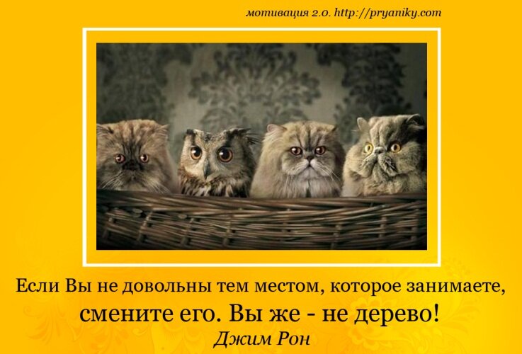 Мотивирующие картинки для работы прикольные