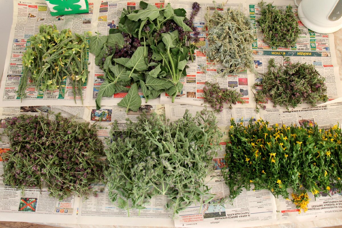 Из открытых источников