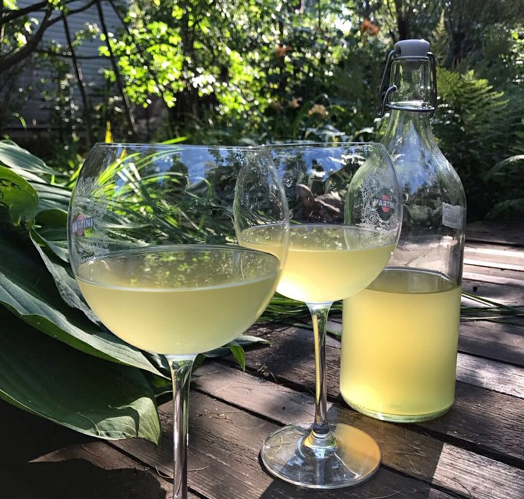 Как приготовить вино из одуванчиков