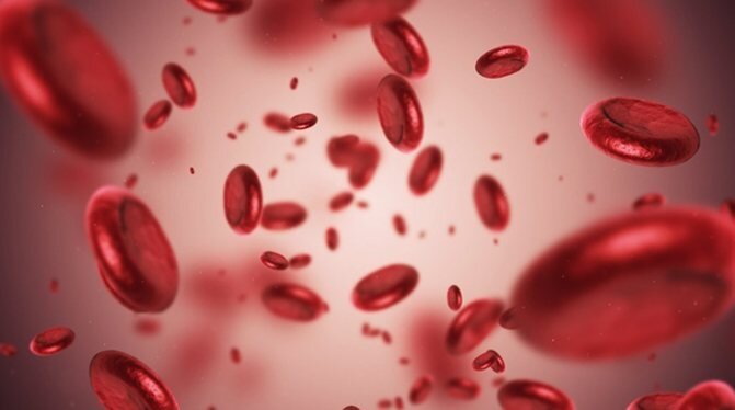 Взято из яндекс картинок. Статья из внешнего источника. 