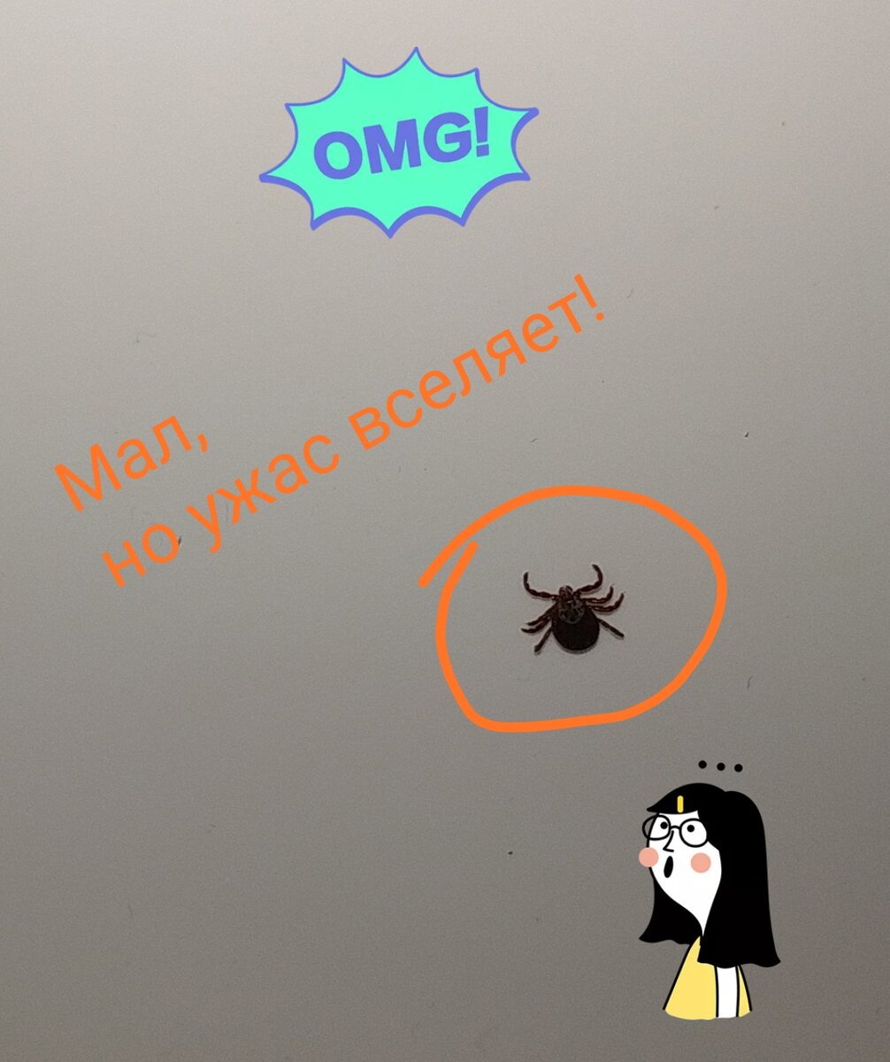 Ужасно боюсь этих вредителей.. 