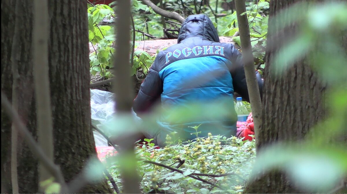 Тимирязевский лес 