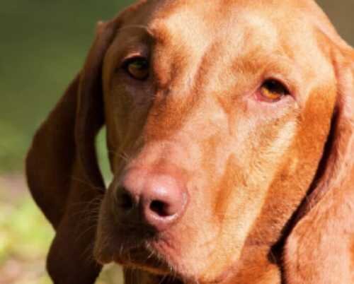 Повреждение нервной системы в процессе операции