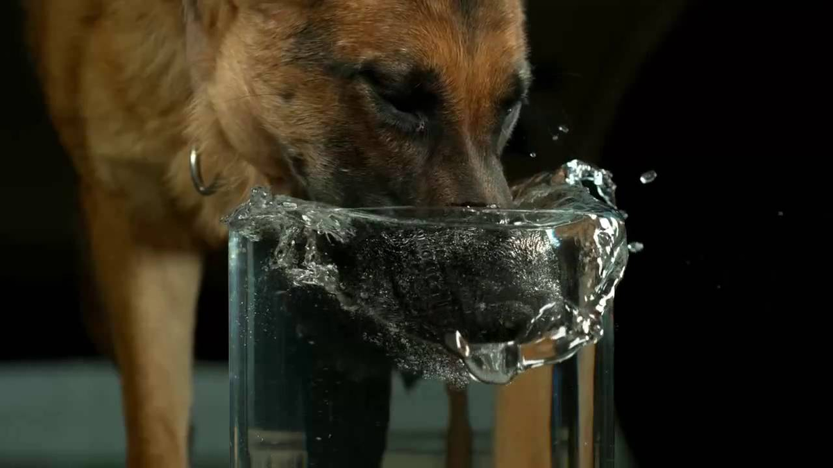 Сухость слизистых оболочек