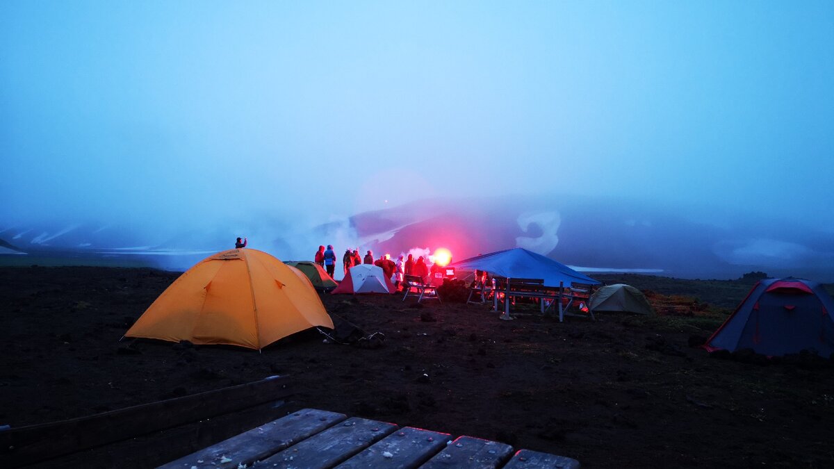 Отгоняем медведя фальшфайером