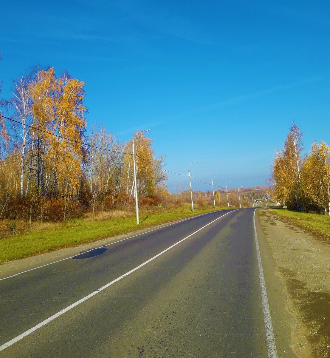 Тамбовская  область, едем по дороге