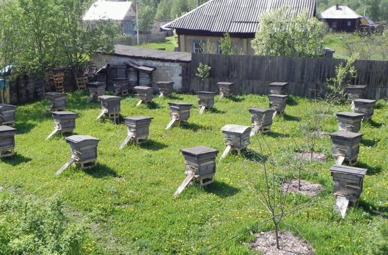 Яндекс картинки