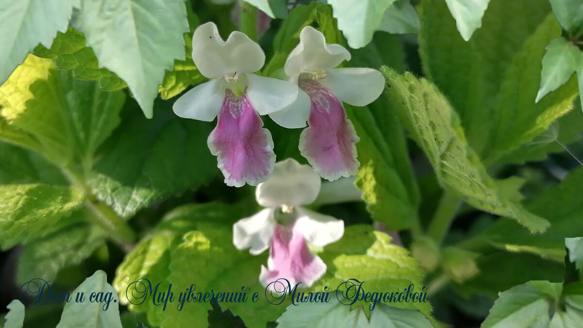 Не забывайте подписываться на канал, чтобы не пропустить новые статьи