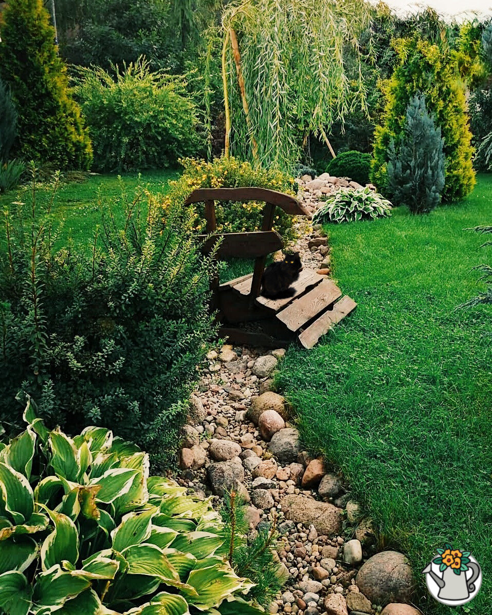 Сухой ручей