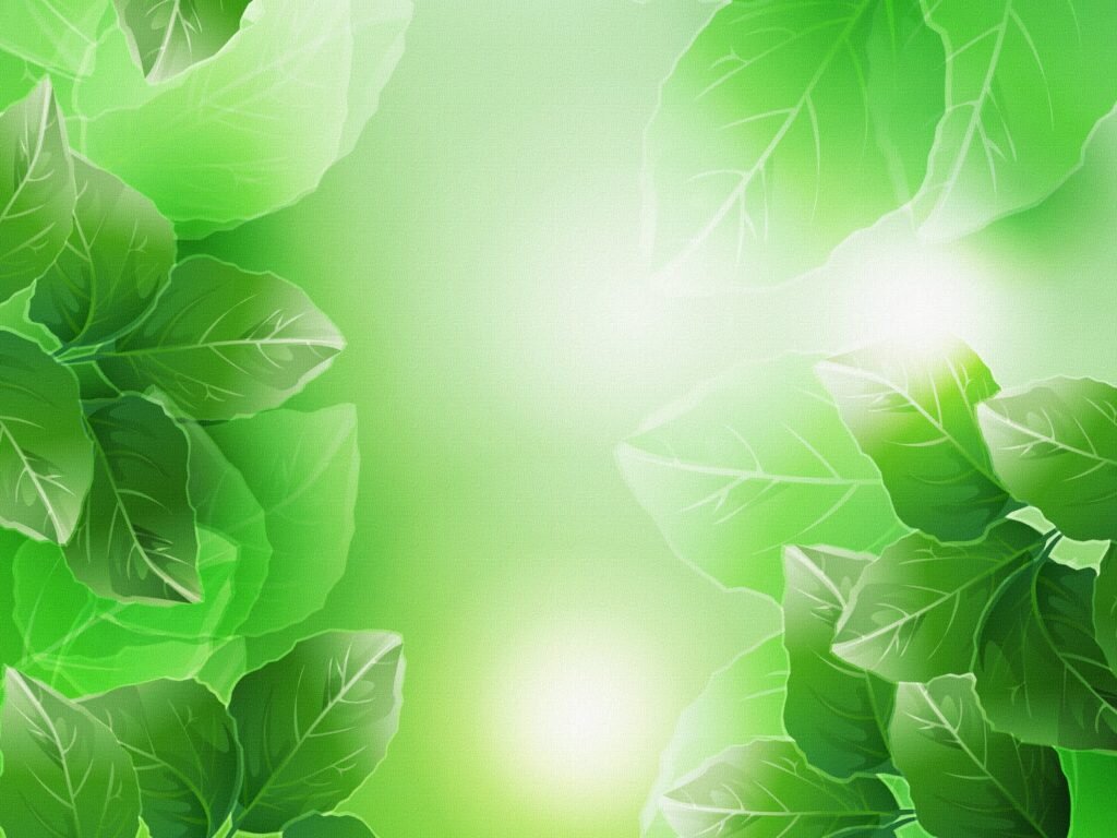 интернет-свободный доступ