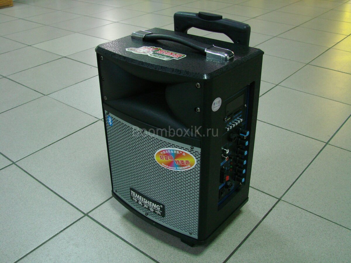 Temeisheng QX 0606