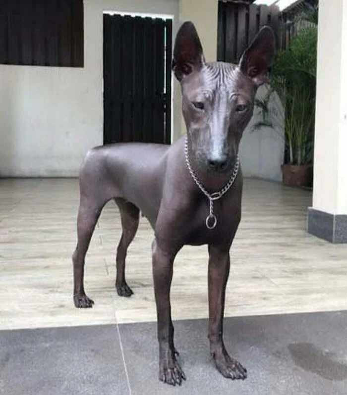 фото из свободных источников