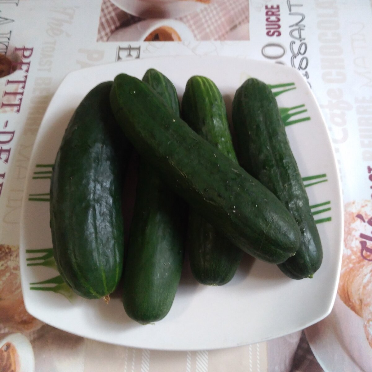 Сверху лежит Зозуля. И Зозуля, и Емеля - ранние огурцы. Хорошо растут, плодоносят. Кстати, у этх сортов нет пустоцвета, основной урожай дает центральный стебель. Зозуля дает более длинные плоды, а Емеля - более сладкие и нежные. Я посадила Емелю первый раз. Каких размеров они могут быть, пока не знаю. Результатом обязательно поделюсь.