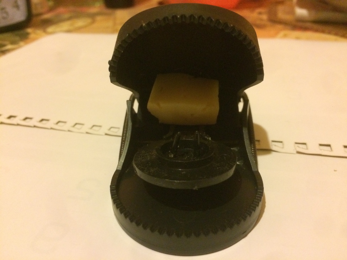 Первый вариант размещения приманки (фото: автора)