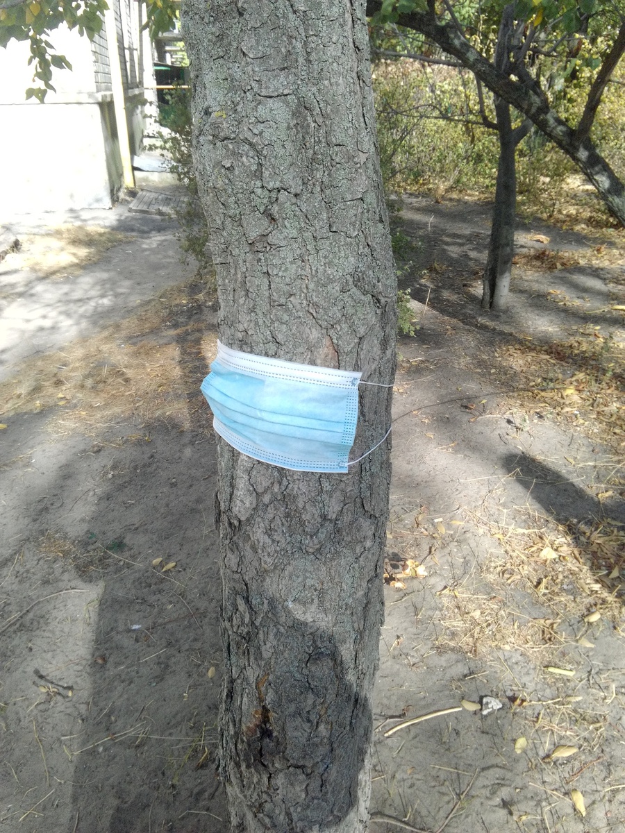 Больное дерево