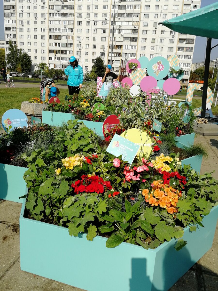 Красивые работы участников