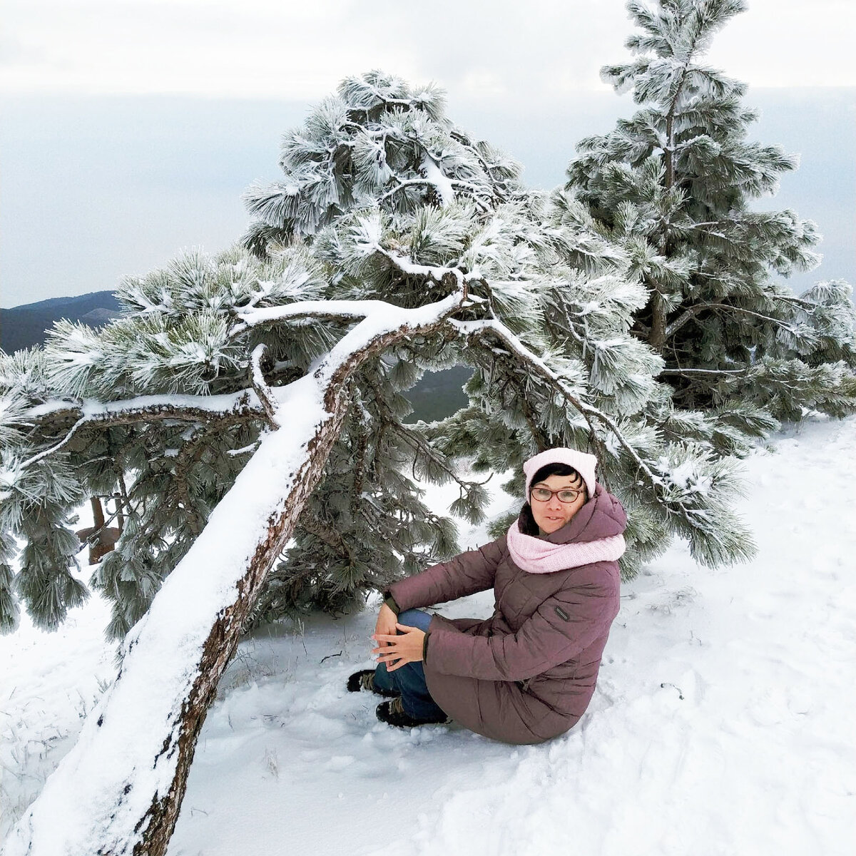 Январь 2019 года. Сморите, какая красота на Ай-Петри!