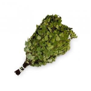 Березовый веник. Фото НЕ автора