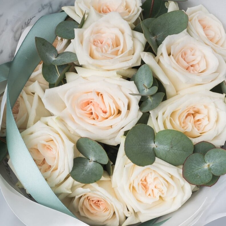 Роза White O'Hara. Фото из открытых источников. 