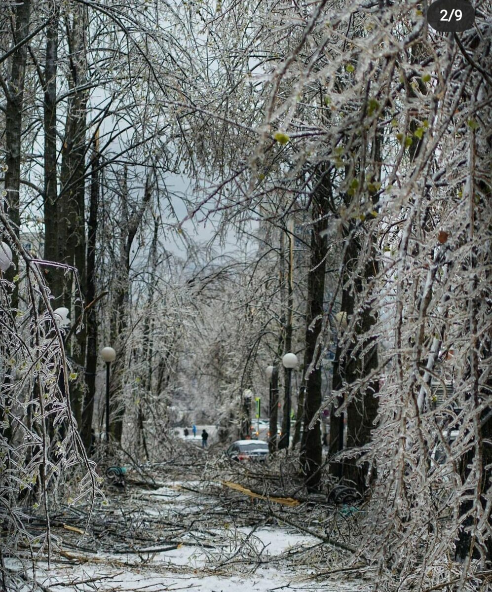 Никто не думал, что спустя несколько часов, эта красота превратится в ужас.
