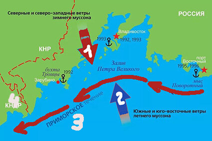 Карта течений залива петра великого