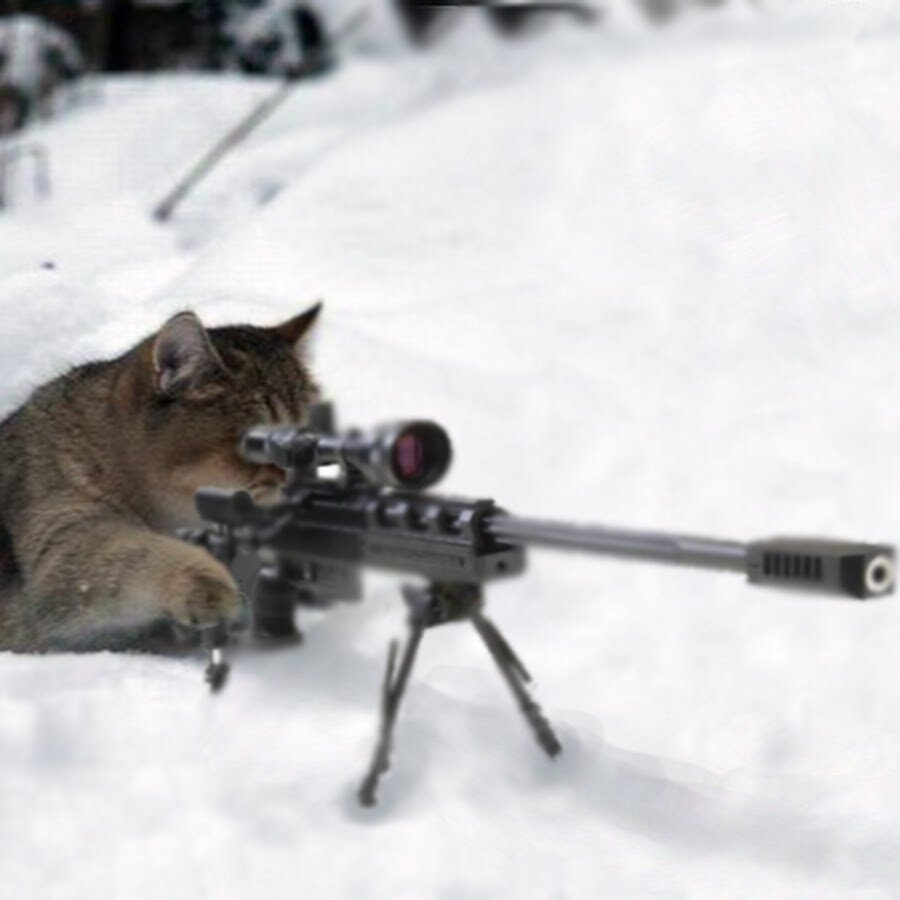 фото из интернета