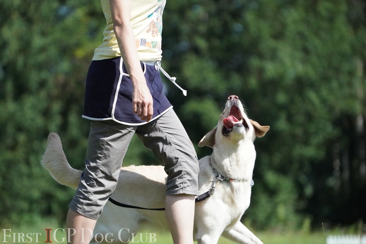 Фото из личного архива. Первый IGP-клуб Беларуси.