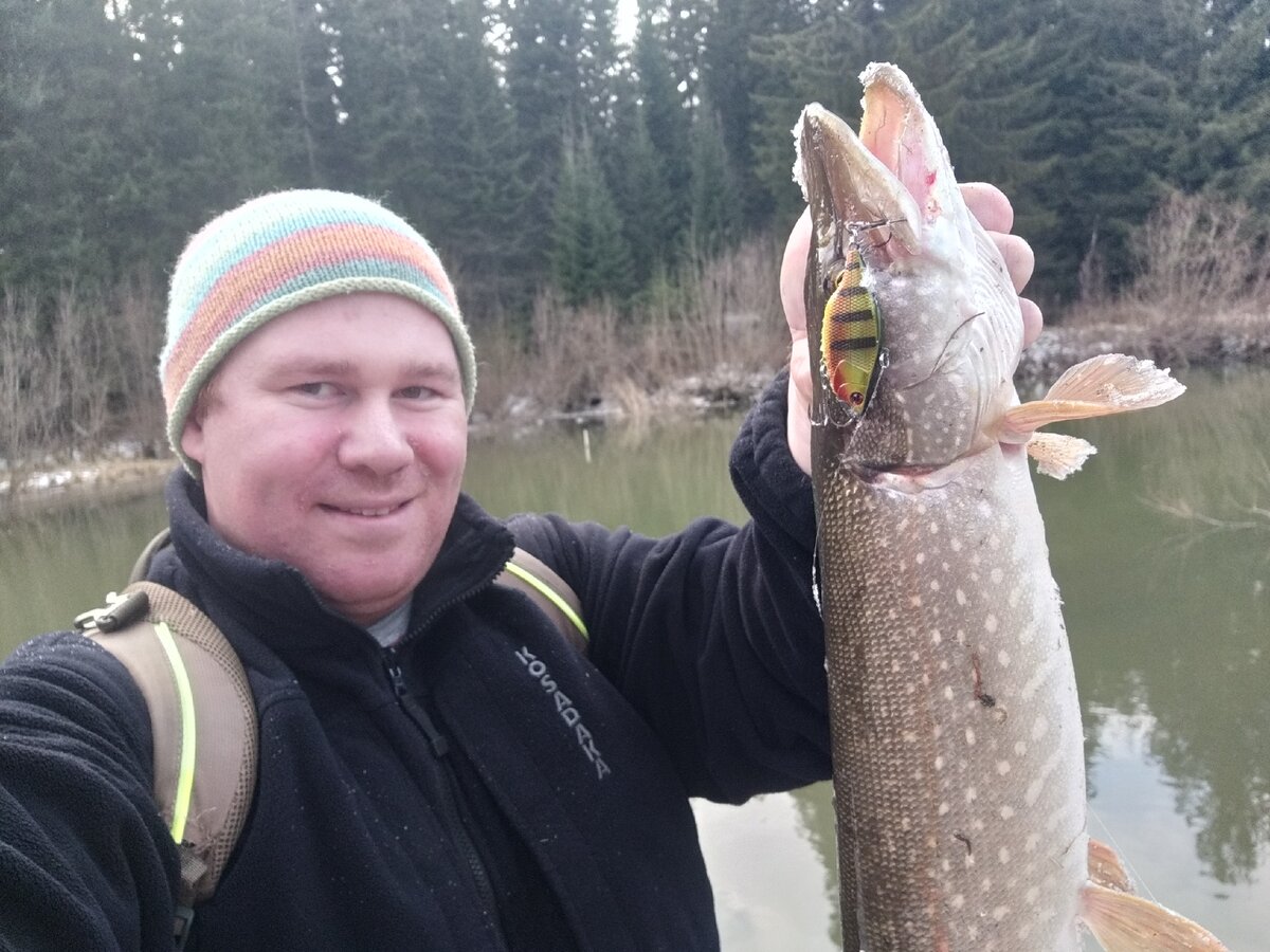 Щука пойманная 13 ноября на раттлин.